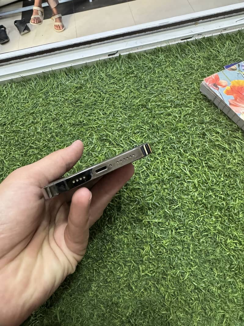 Apple iPhone 13 Pro Max 1