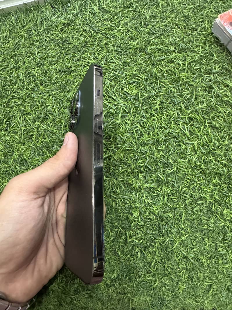 Apple iPhone 13 Pro Max 6
