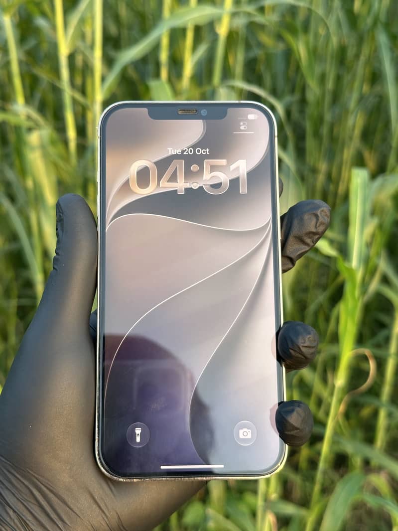 Apple iPhone 12 Pro Max 1