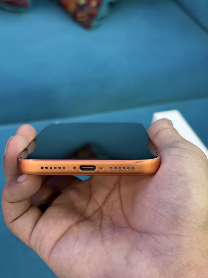 Apple iPhone 17 Pro Max (Panel Replaced) 1