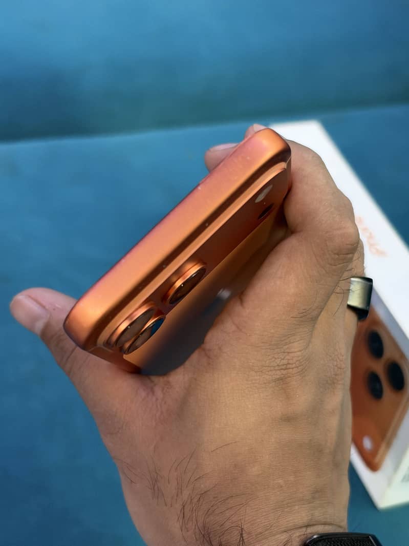 Apple iPhone 17 Pro Max (Panel Replaced) 2