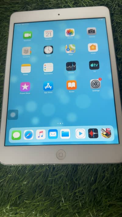 iPad mini2