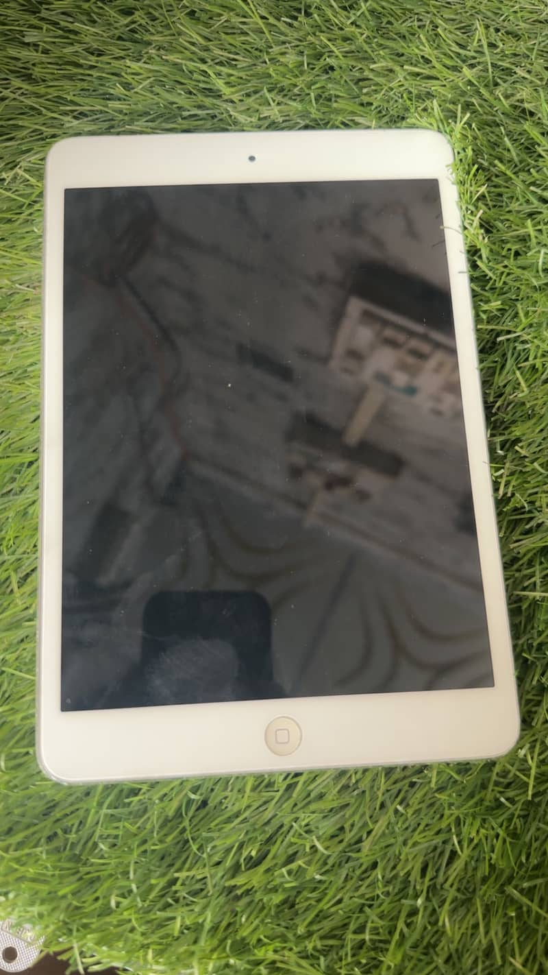 iPad mini2 2