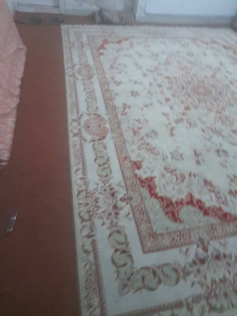 Carpet 1
