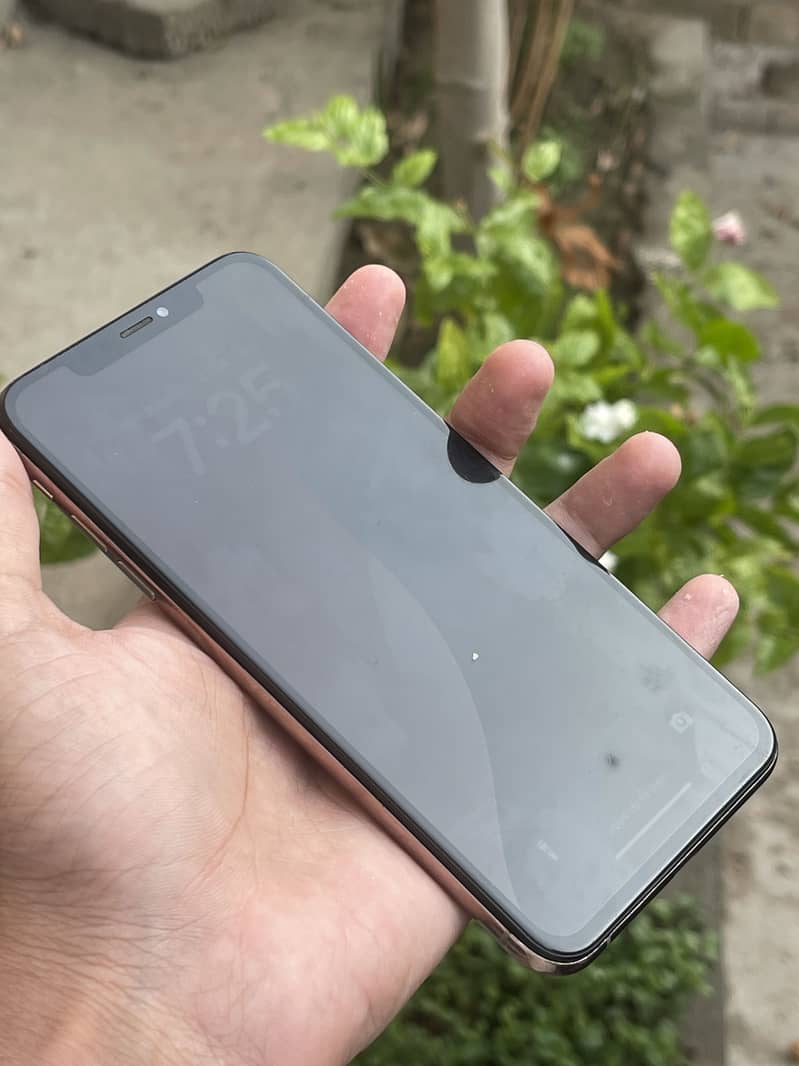 Apple iPhone XS Max 2