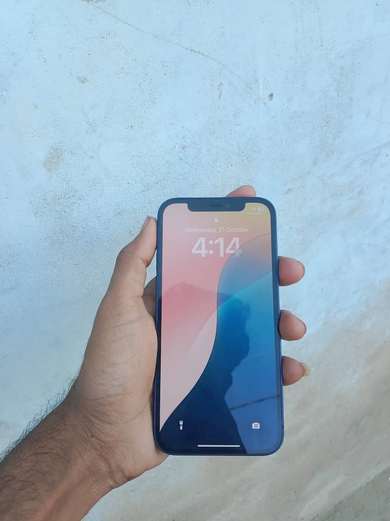 Apple iPhone 12 1
