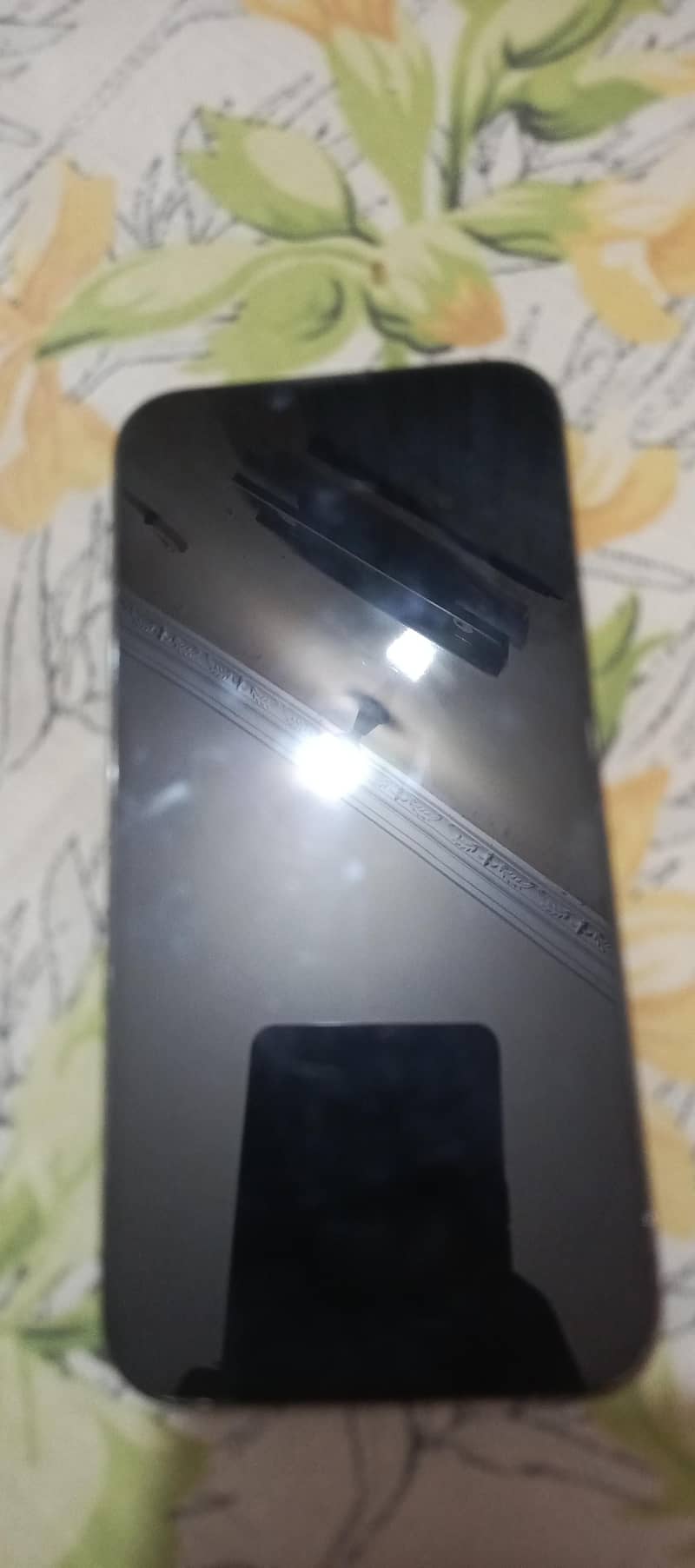 Apple iPhone 13 Pro Max 1