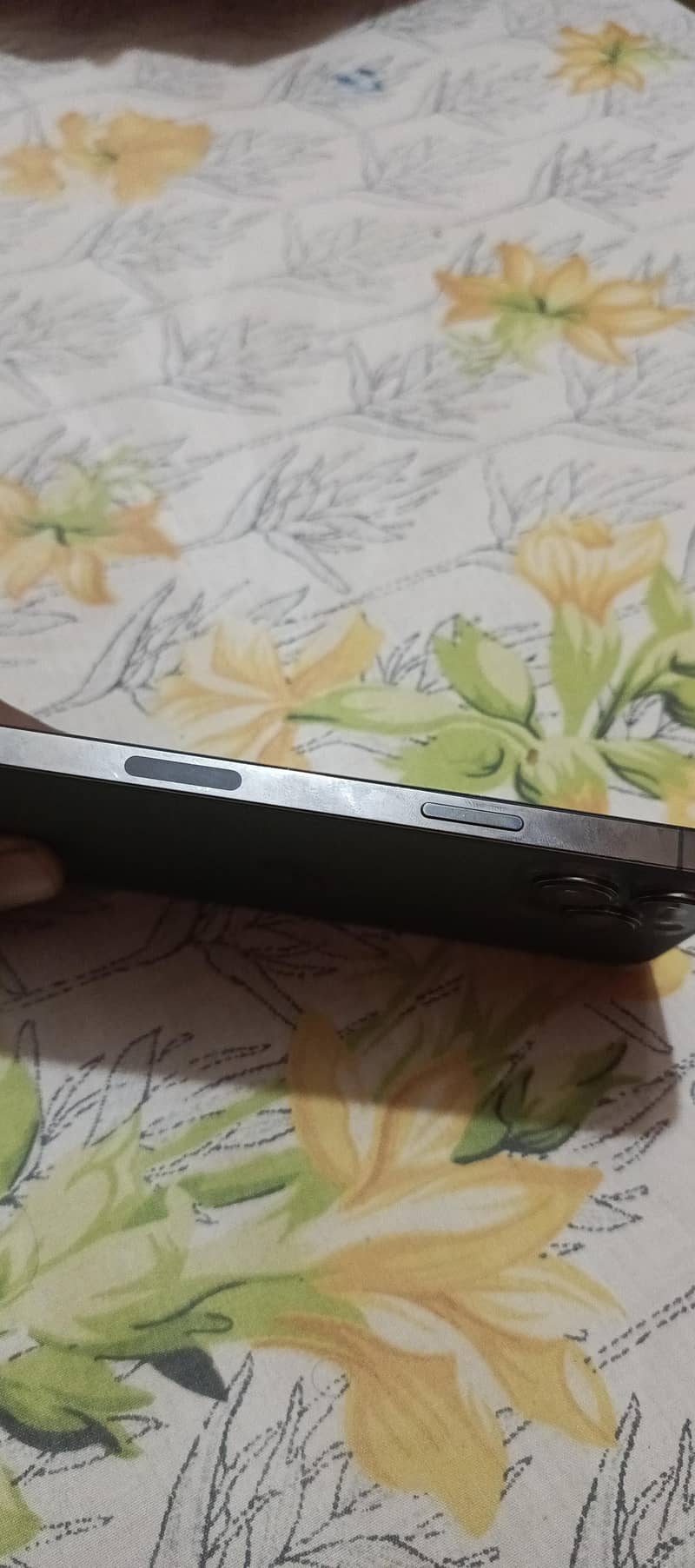 Apple iPhone 13 Pro Max 2