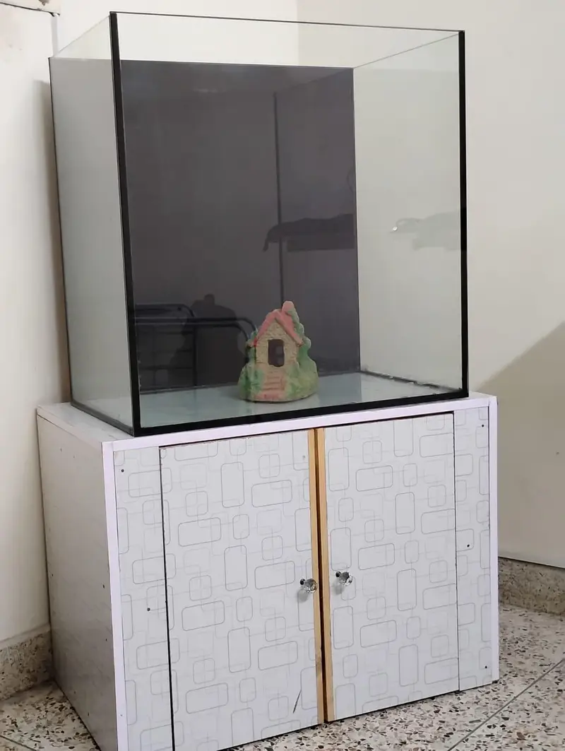 2 FEET AQUARIUM — photo 2