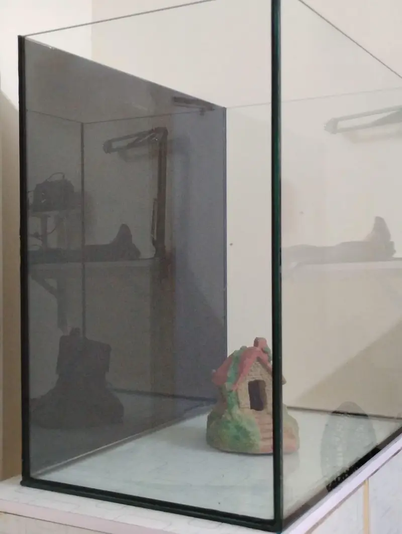 2 FEET AQUARIUM — photo 3