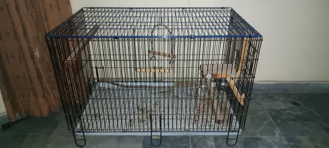Master cage for birds