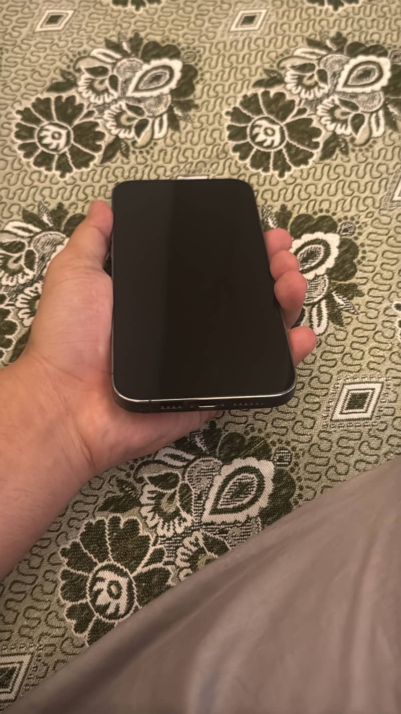 Apple iPhone 14 Pro Max 2