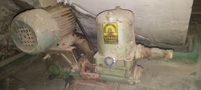 Golden Donkey Pump
