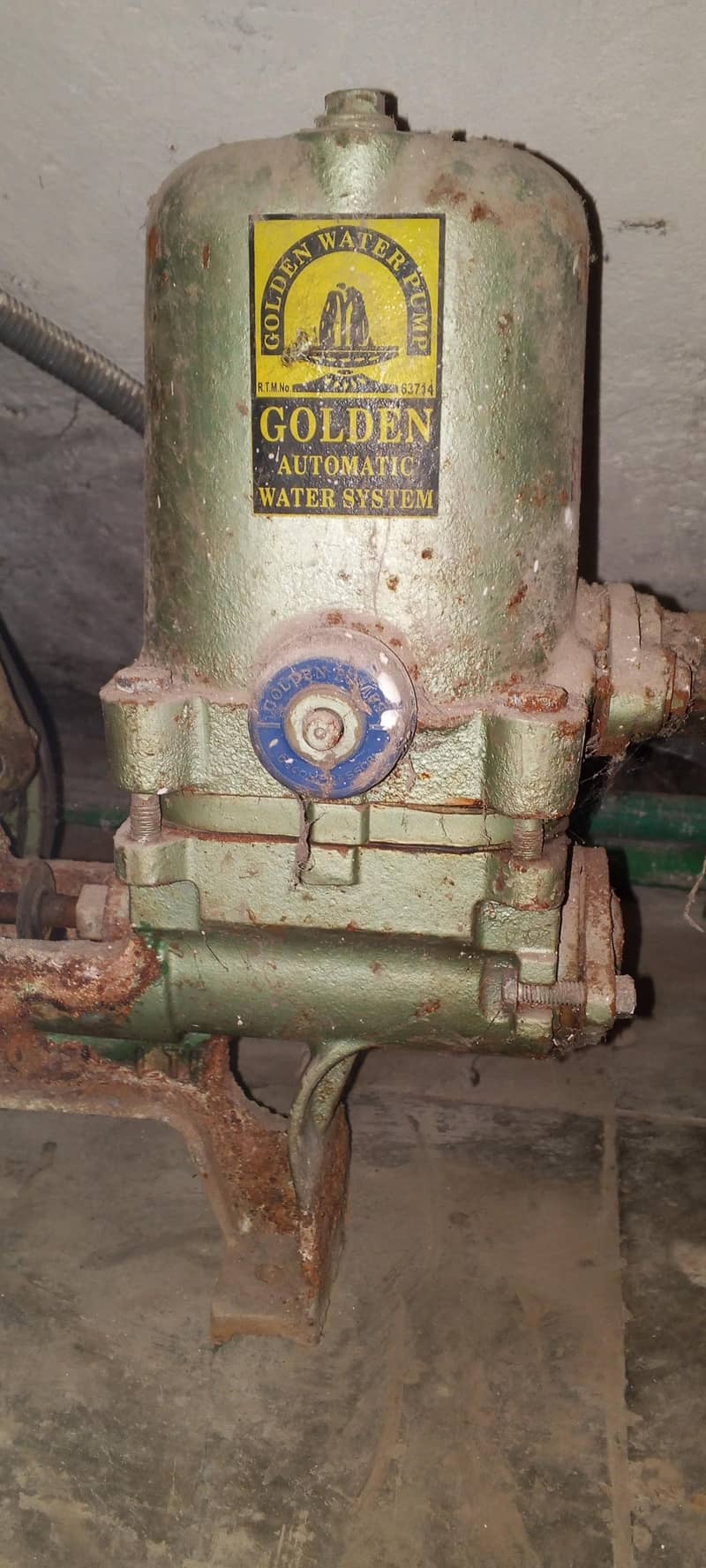Golden Donkey Pump 1