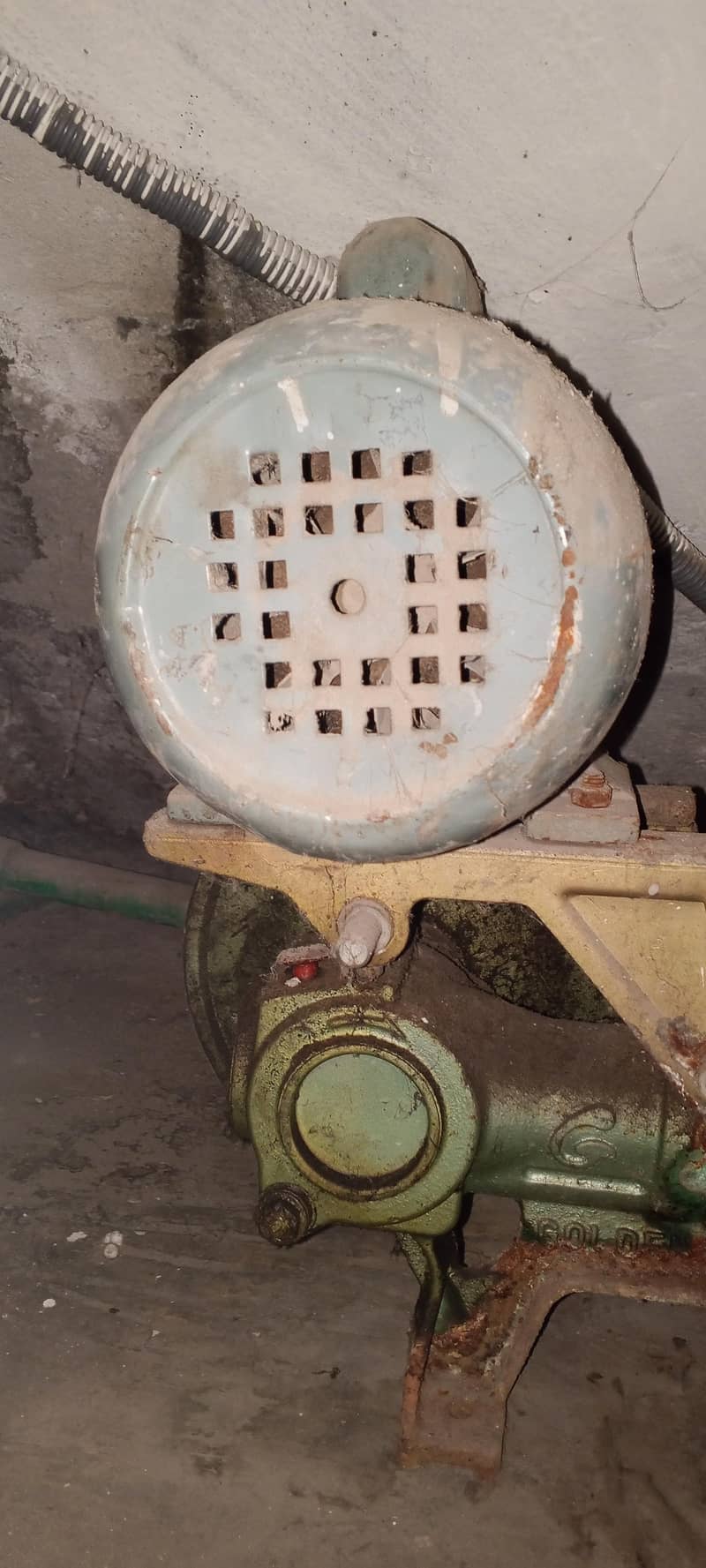 Golden Donkey Pump 2