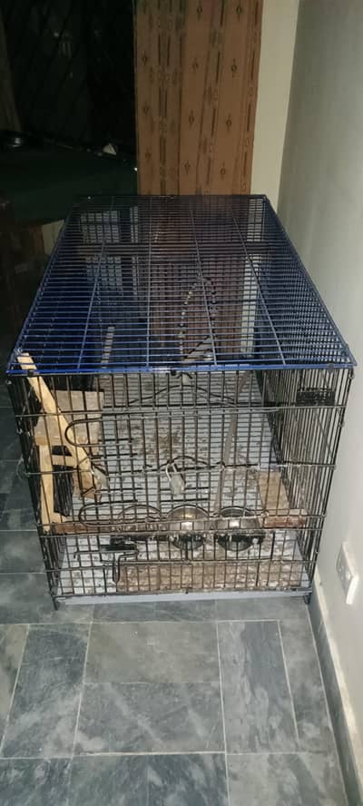 Portable cage for birds