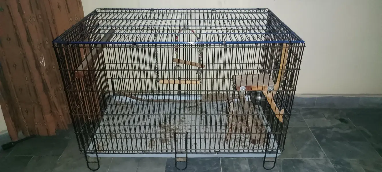 Portable cage for birds — photo 2