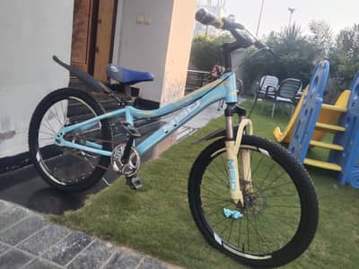 22 inch cycle