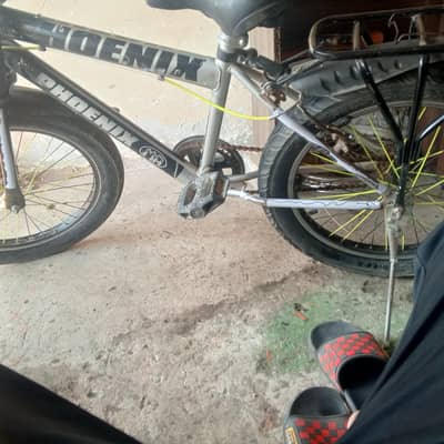 phoenix cycle 20 inch saiz