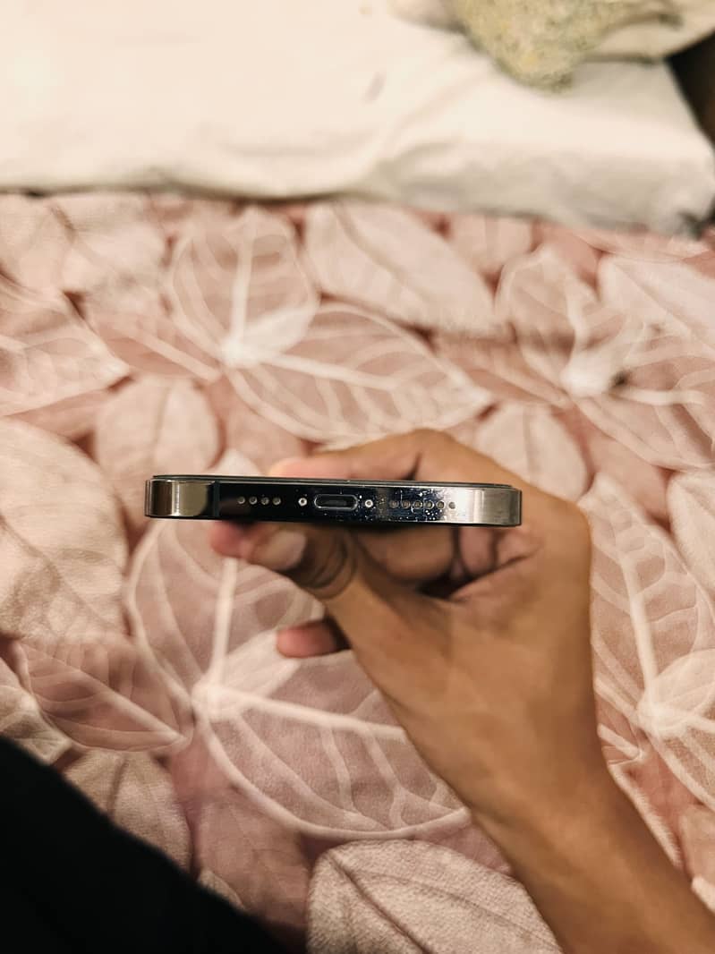 Apple iPhone 13 Pro Max 2