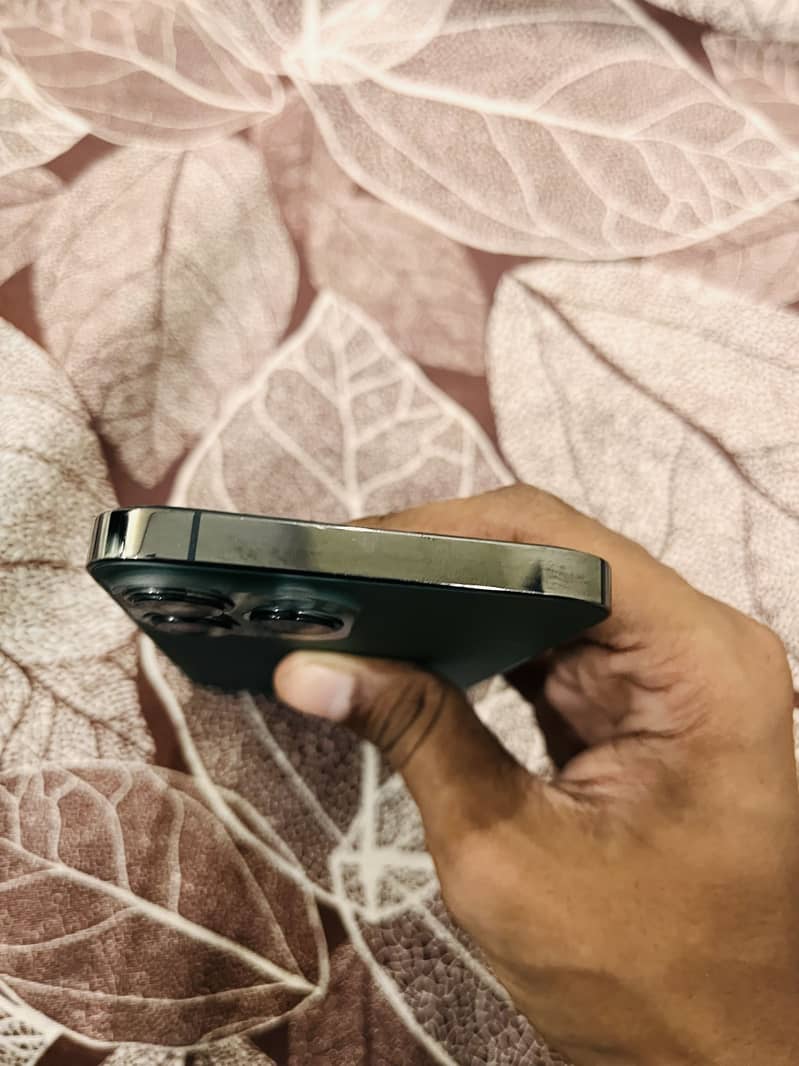 Apple iPhone 13 Pro Max 3