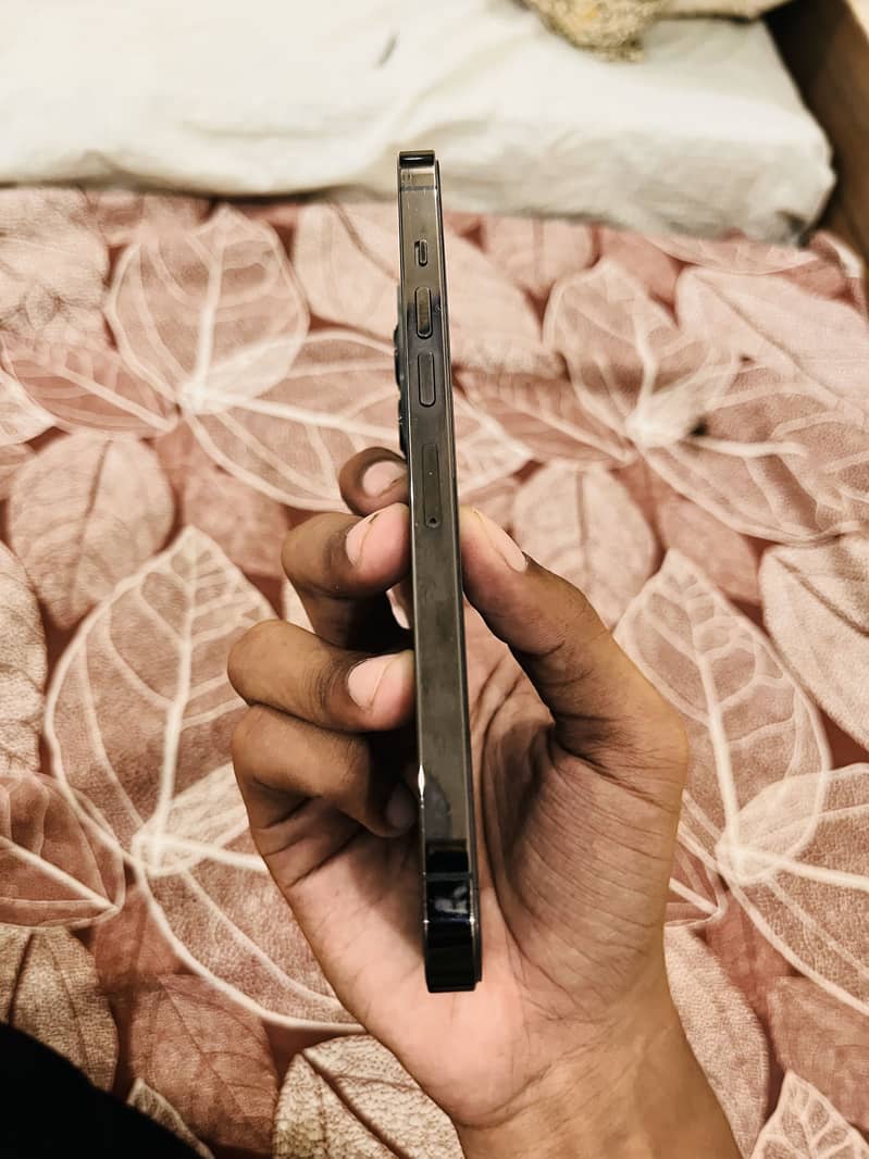Apple iPhone 13 Pro Max 4