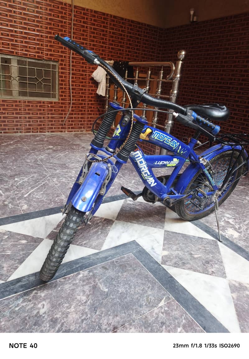MORGAN Bicycle 2