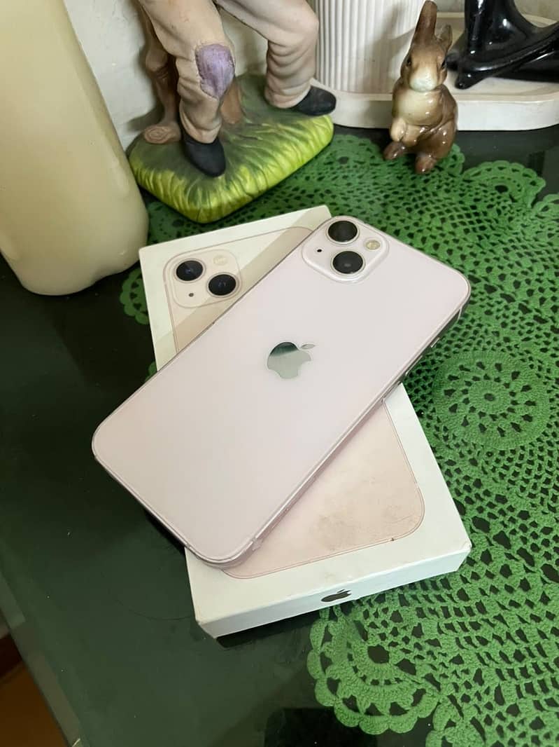 Apple iPhone 13 0