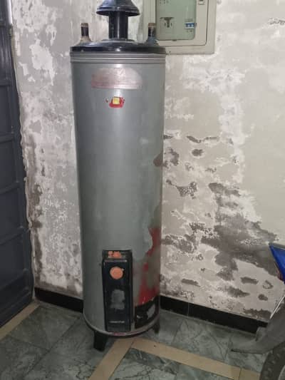 Gas geyser