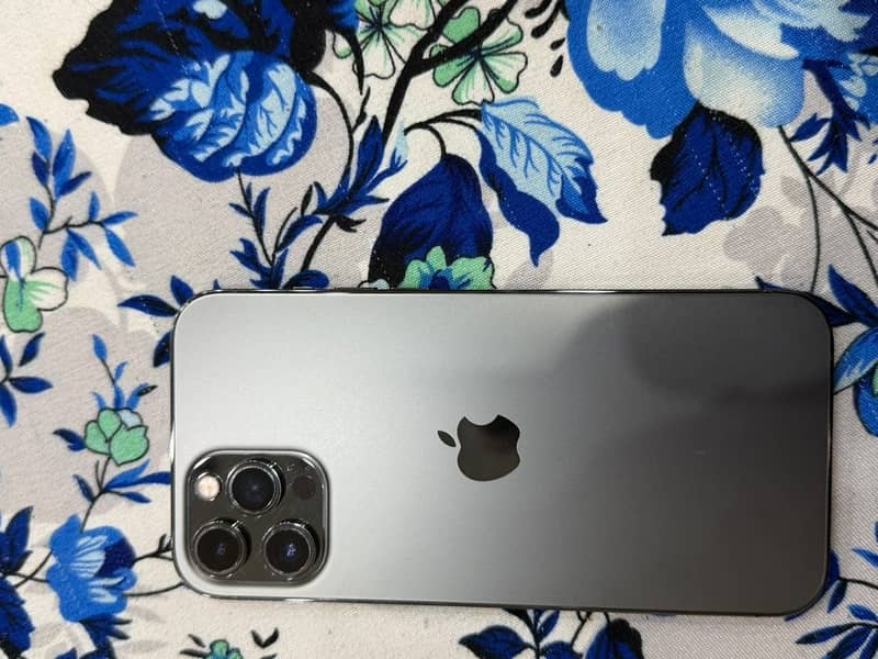 Apple iPhone 12 Pro Max 1