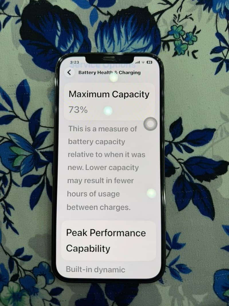 Apple iPhone 12 Pro Max 9