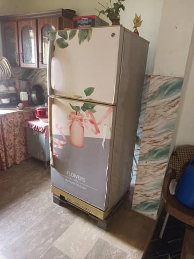 Original not repaired Jumbo sized