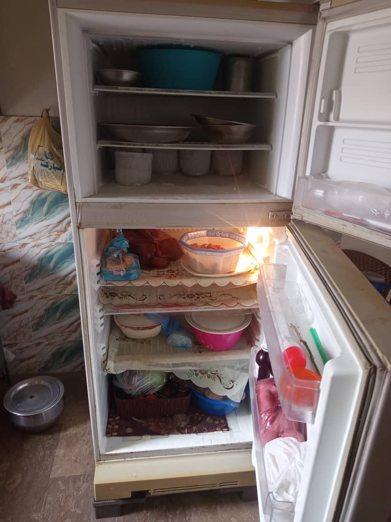 Original not repaired Jumbo sized 1