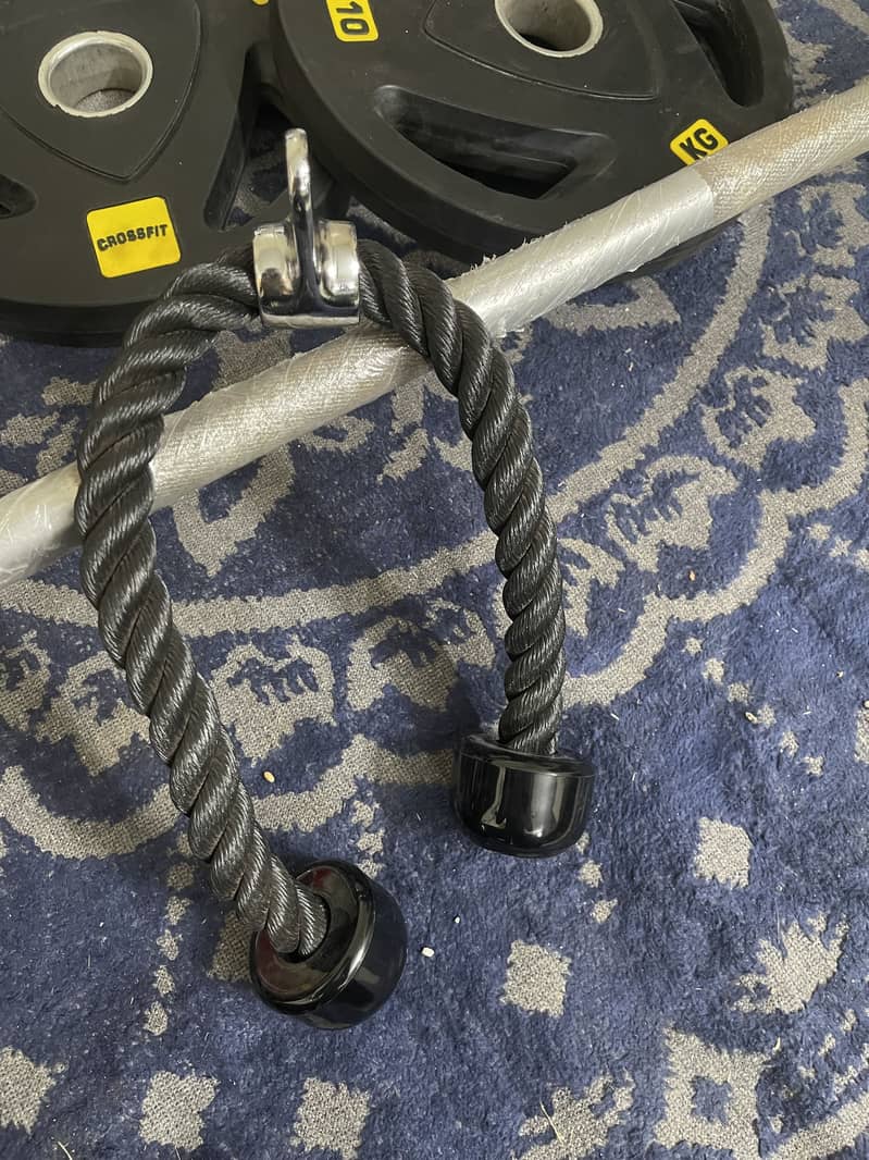 Tricep rope 1