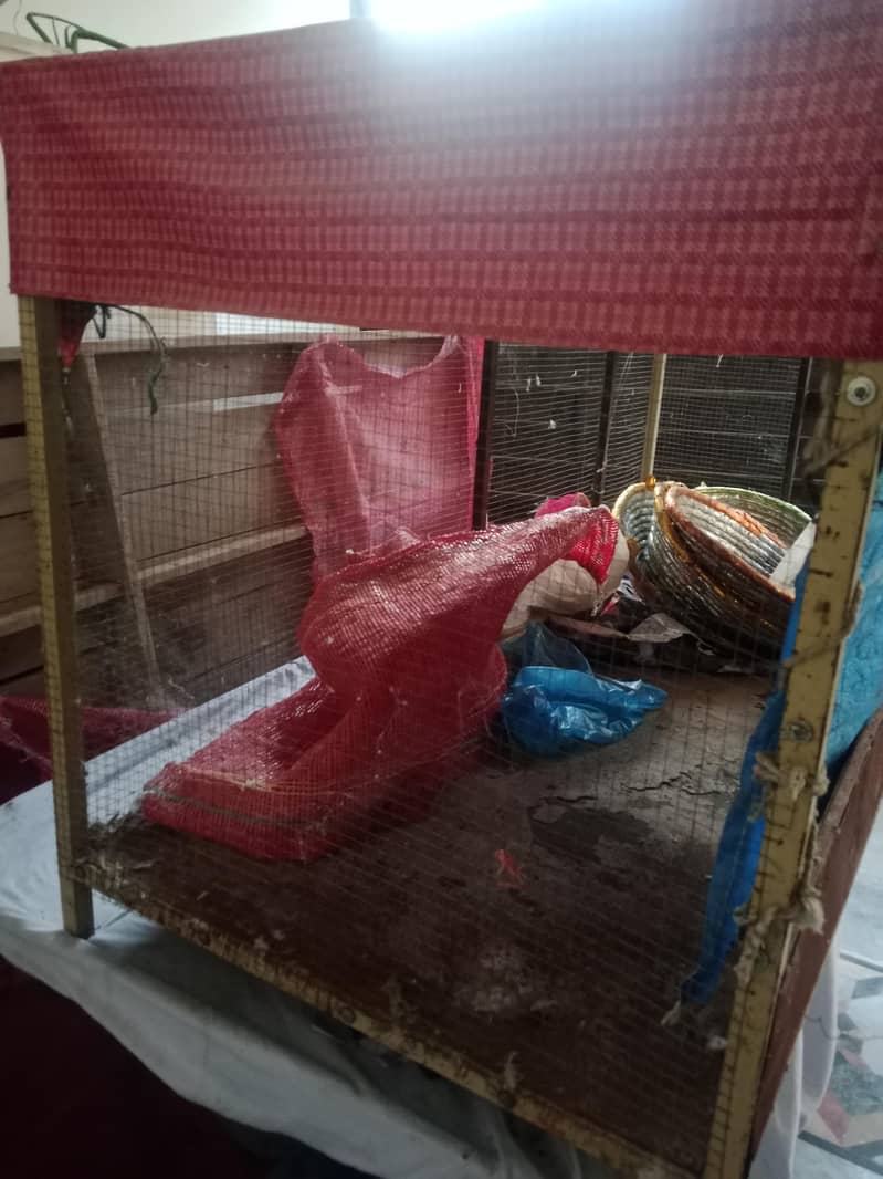 Hen cage 1