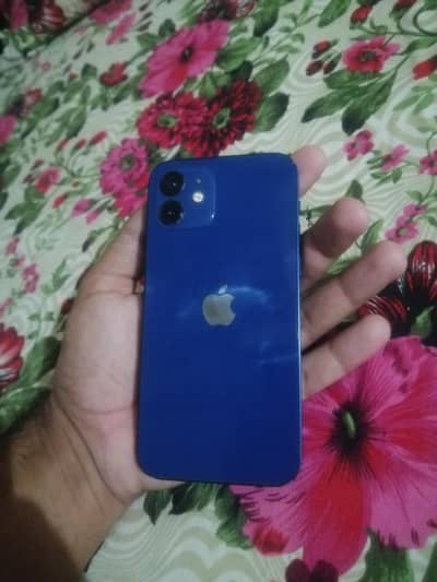 Apple iPhone 12