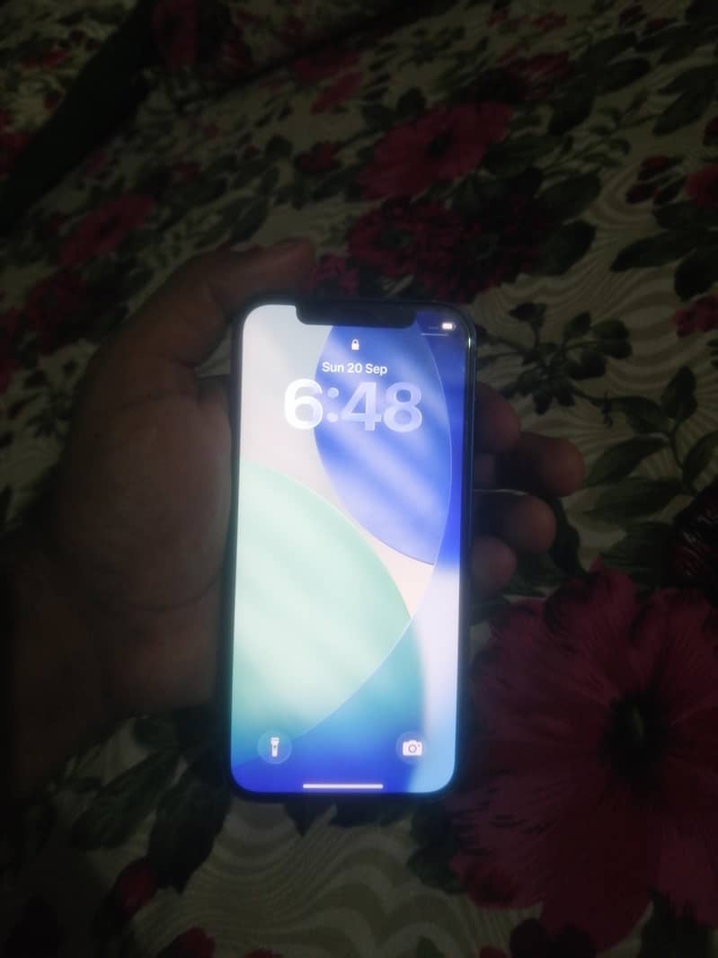Apple iPhone 12 1