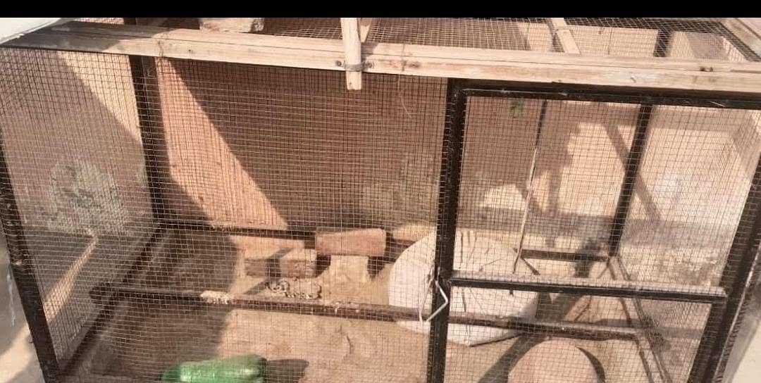 hen cage 0