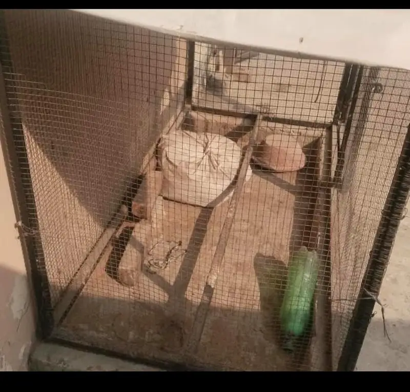 hen cage — photo 2