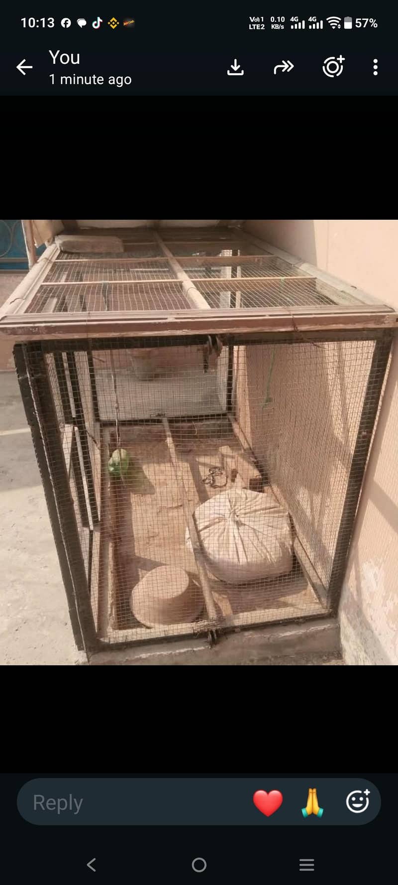 hen cage 2