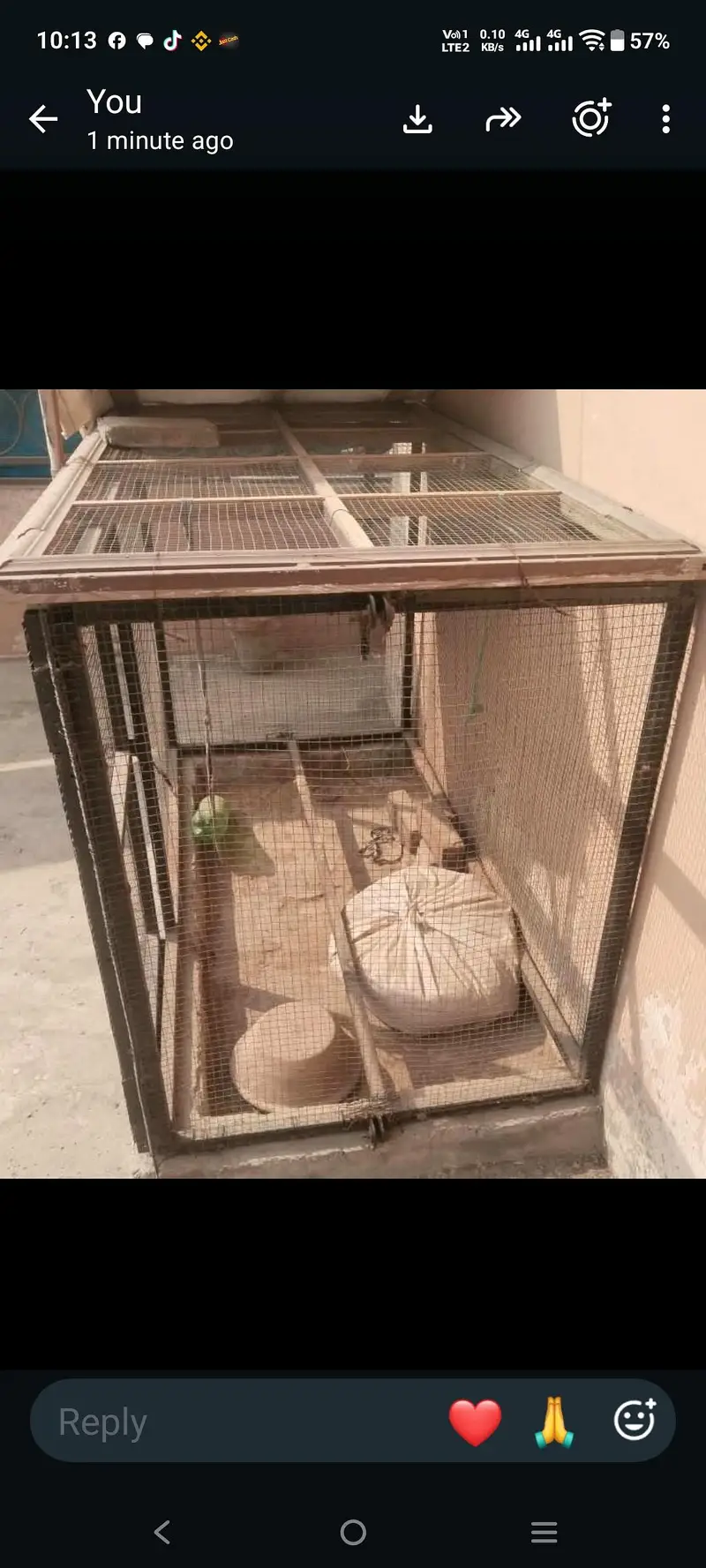 hen cage — photo 3