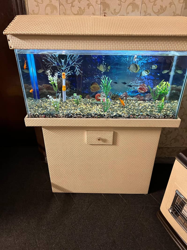 fish tank 0