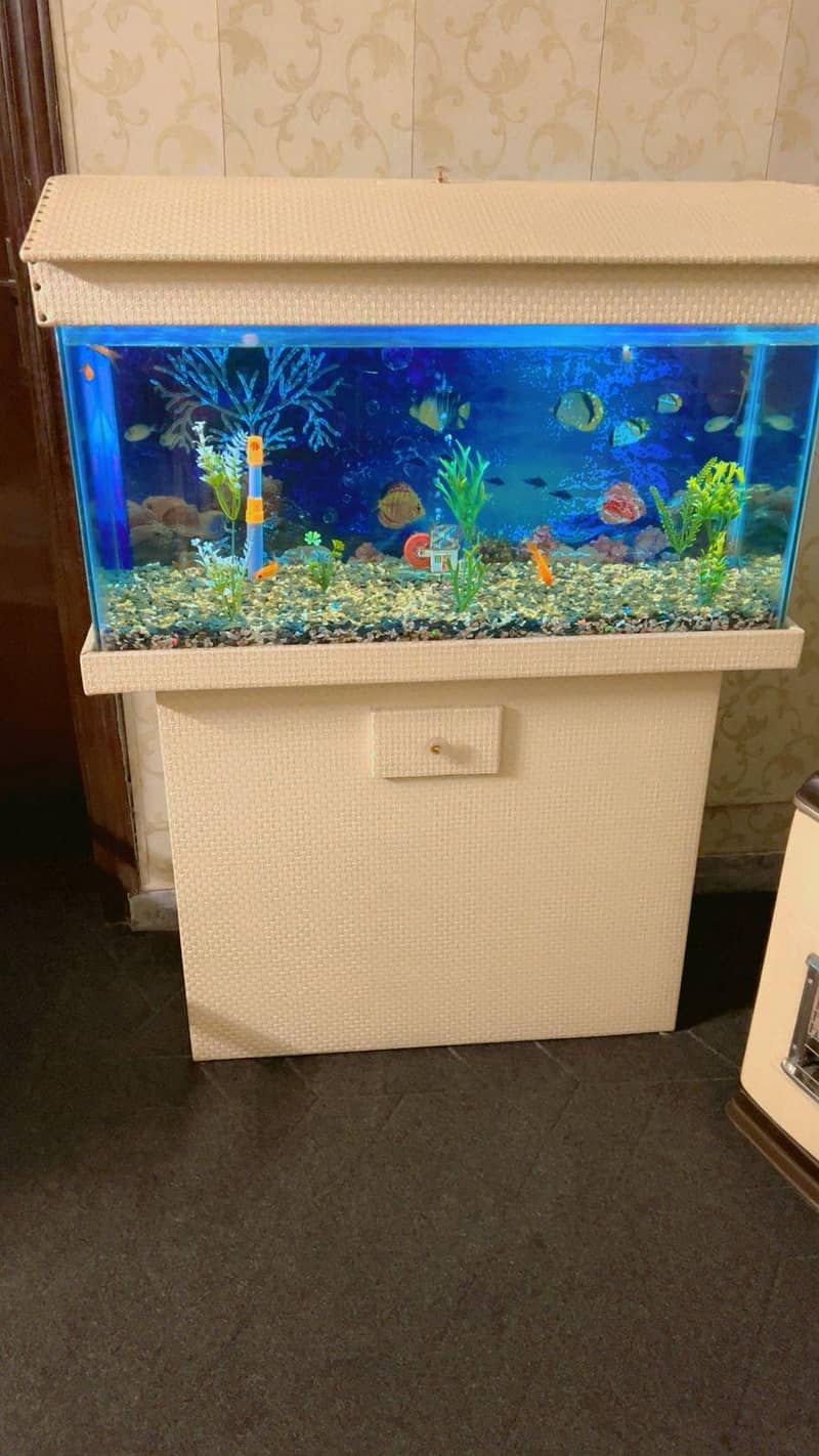 fish tank 1