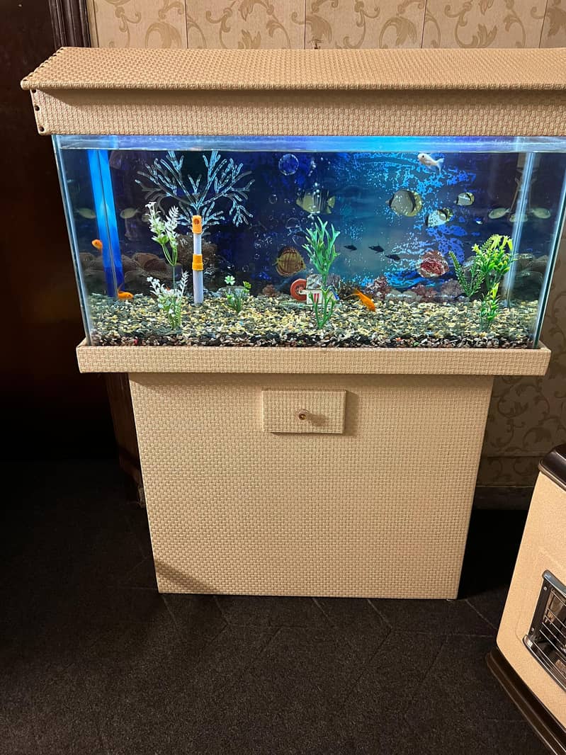 fish tank 2