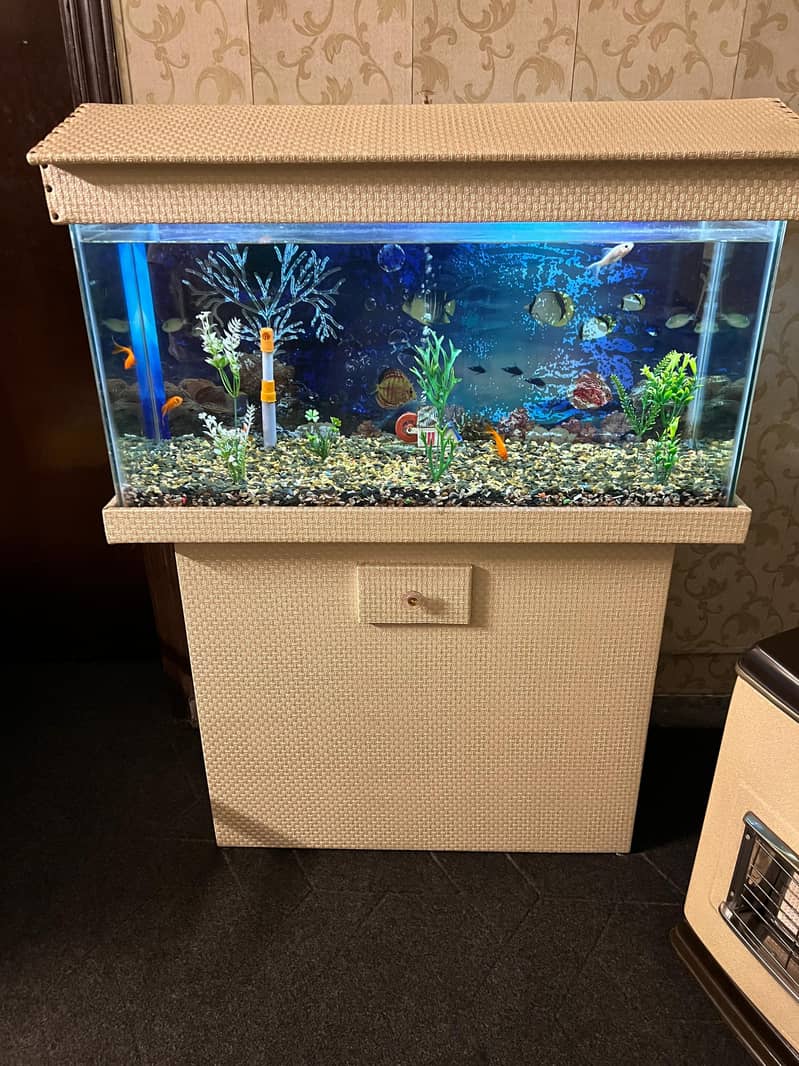 fish tank 3