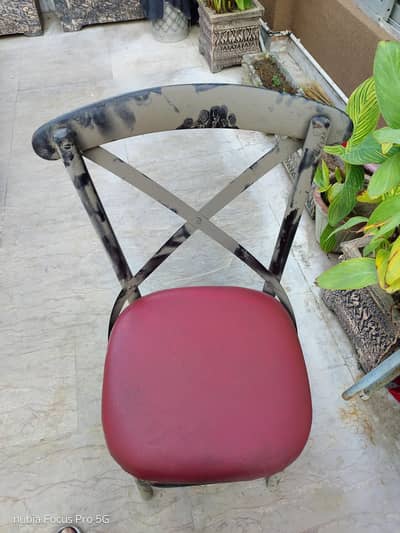 Restaurant chairs are available for sale