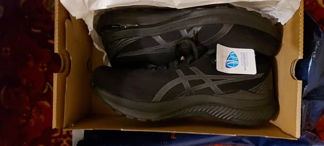 Asics gel Kayano 29 Australian Version