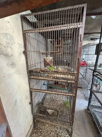 iron cages