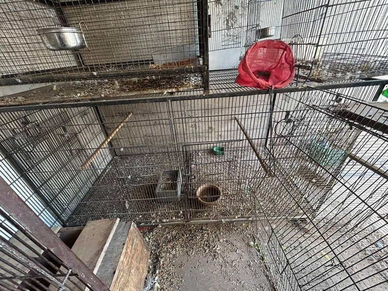iron cages 2