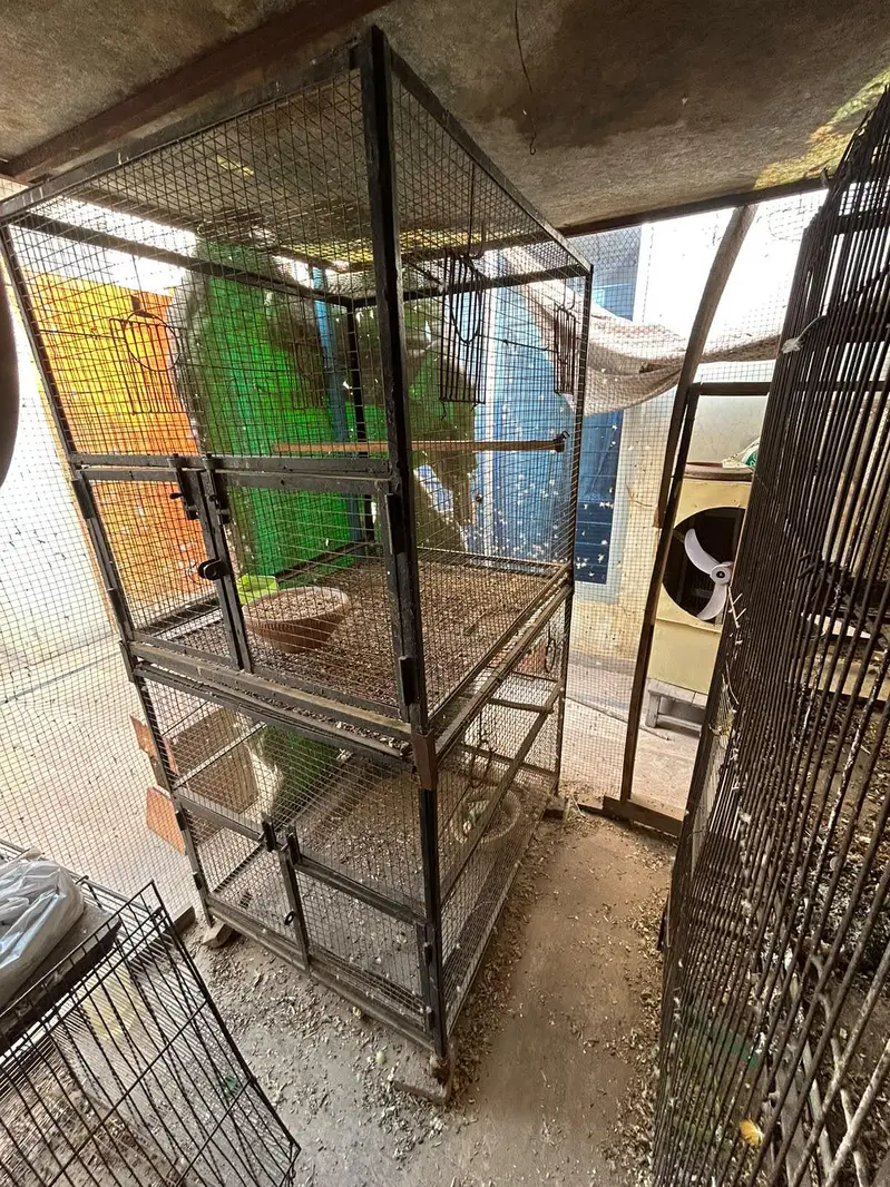 iron cages — photo 5